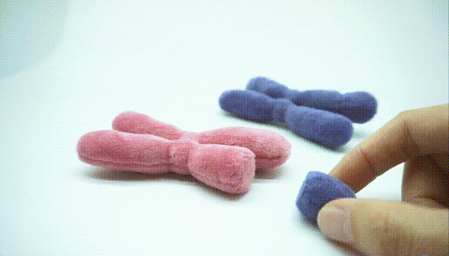bi04